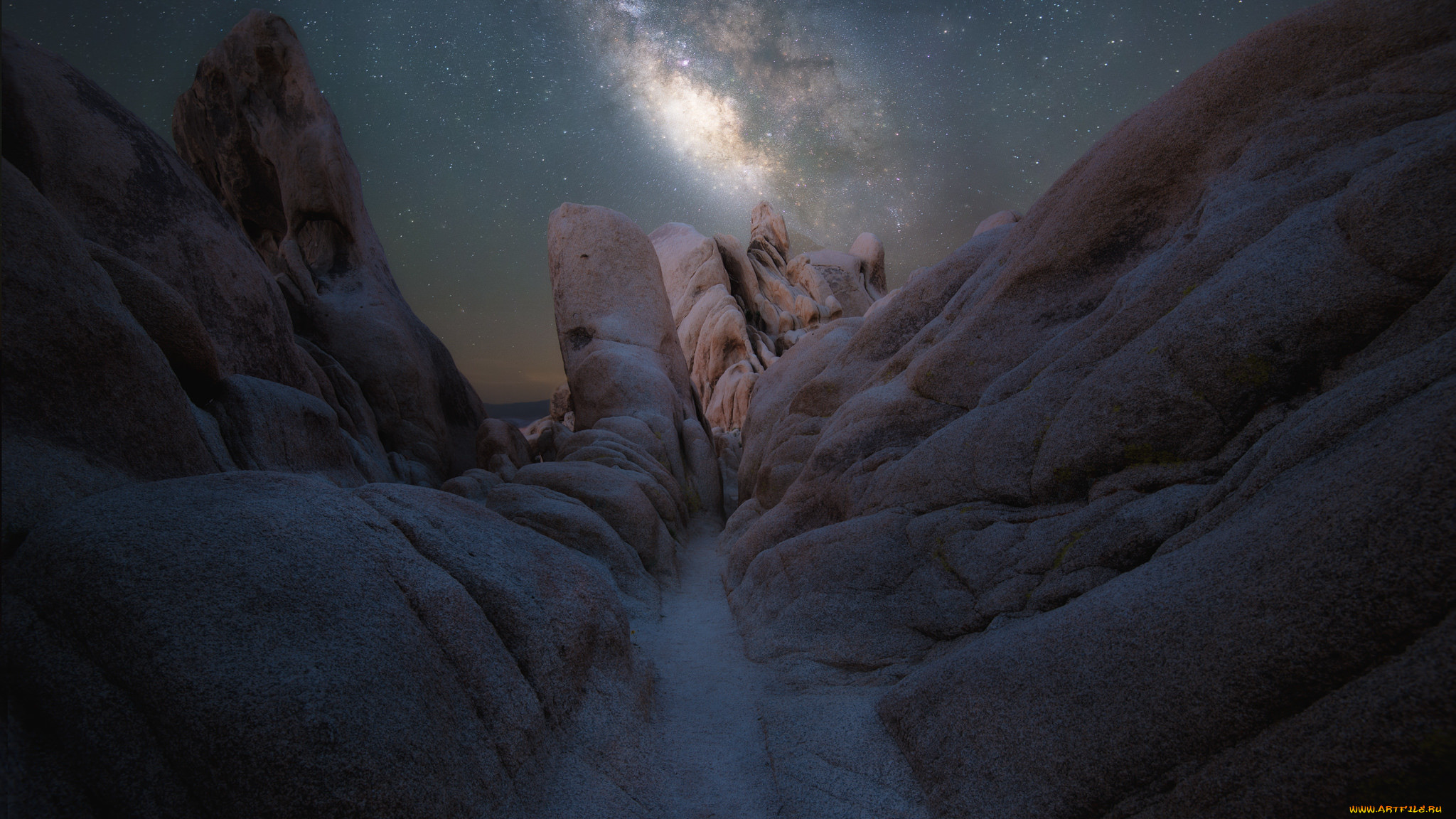 , , national, park, , joshua, tree, , , , 